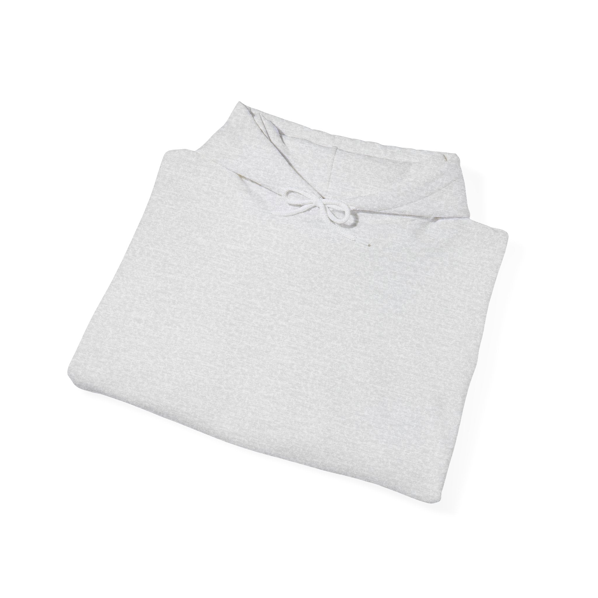 Skater Panda Hoodie — Streetwear Skateboard Graphic Pullover