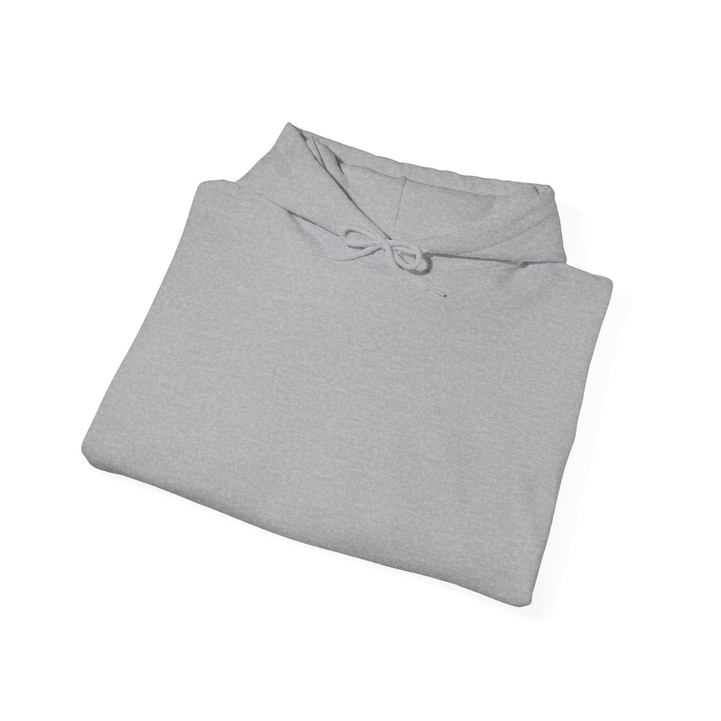 Skater Panda Hoodie — Streetwear Skateboard Graphic Pullover